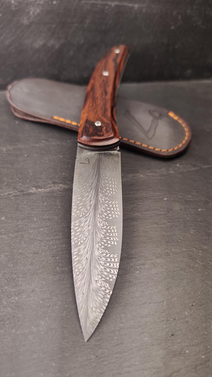 966 (7).jpg